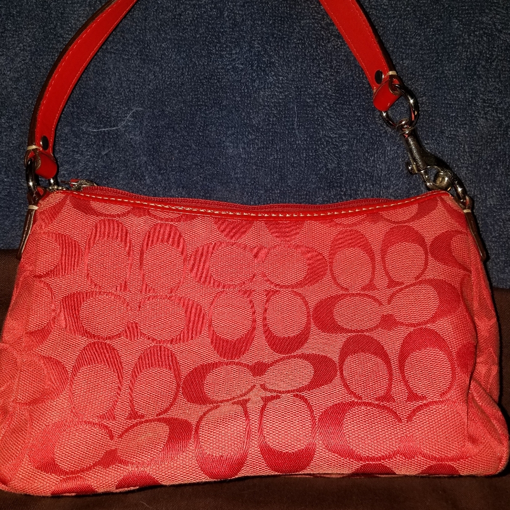 Small Coach bag